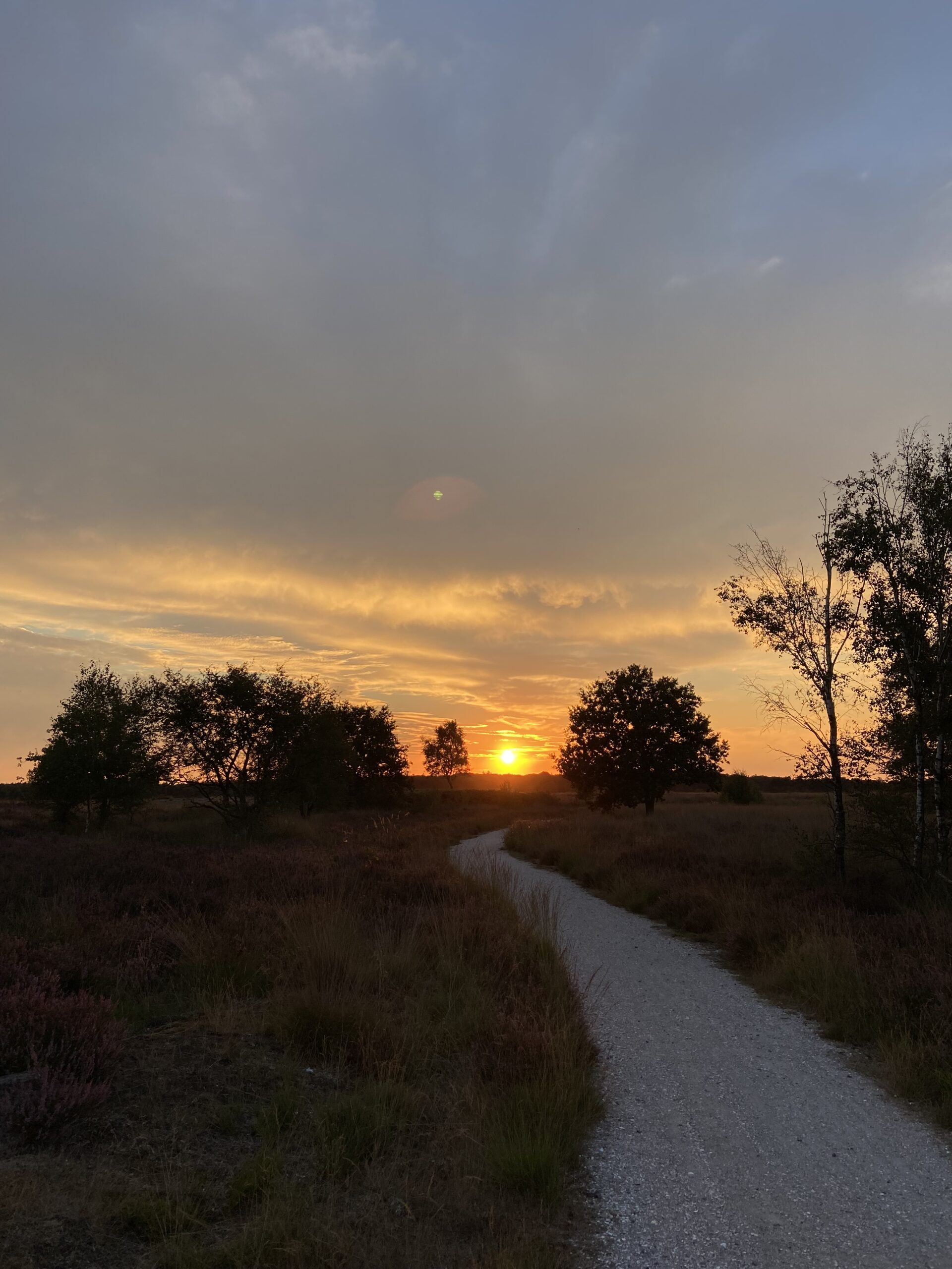 Regte Heide